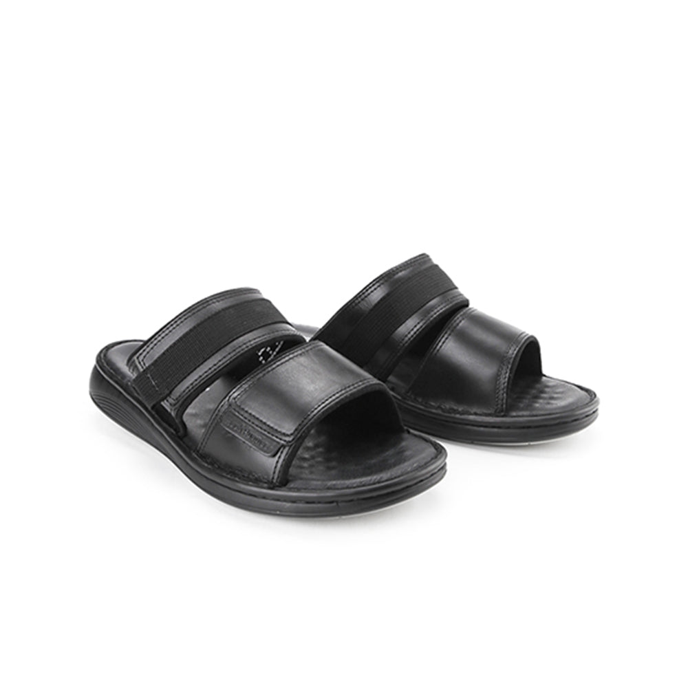 Delphi Haris Double Strap