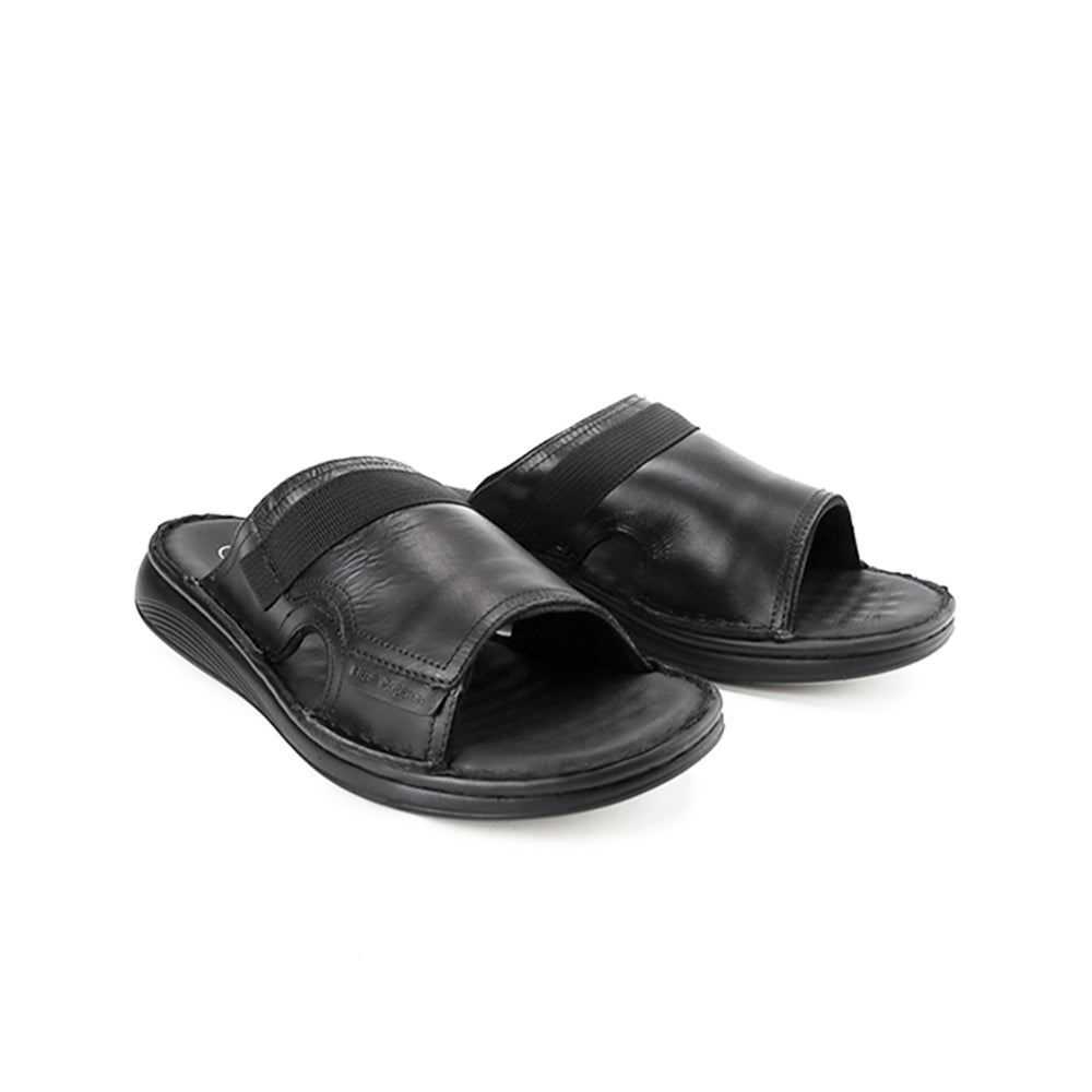 Delphi Haris Slide