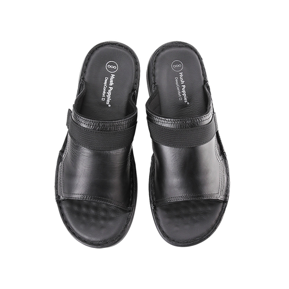 Delphi Haris Slide