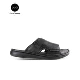Delphi Haris Slide