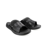 Delphi Haris Slide