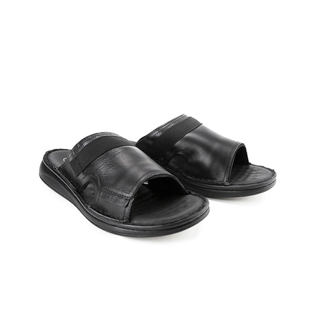 Delphi Haris Slide