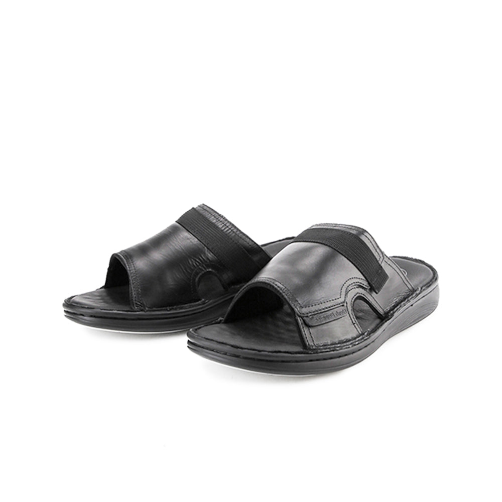 Delphi Haris Slide