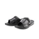 Delphi Haris Slide