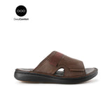 Delphi Haris Slide