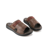 Delphi Haris Slide